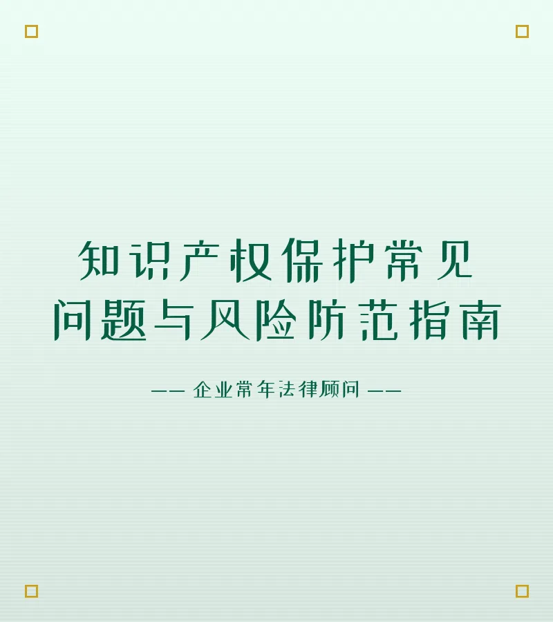知识产权保护常见问题与风险防范指南